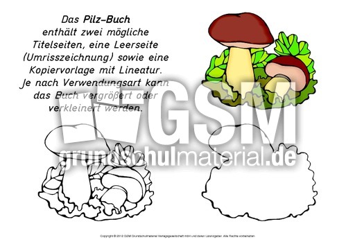 Mini-Buch-Pilz-2.pdf